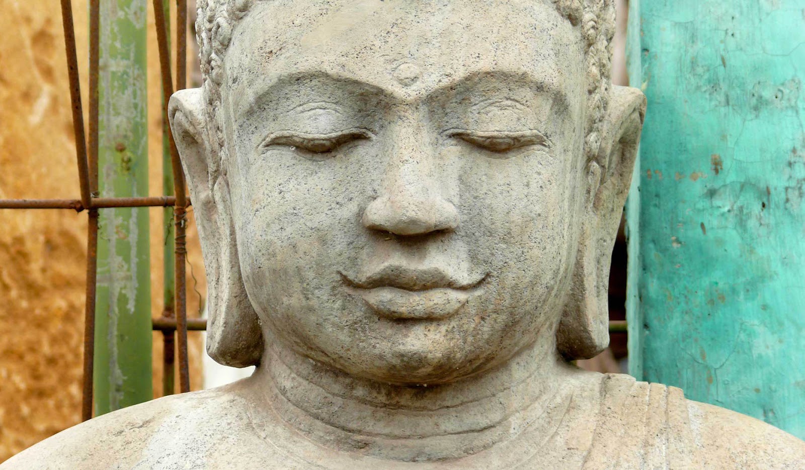 The Buddha’s mission